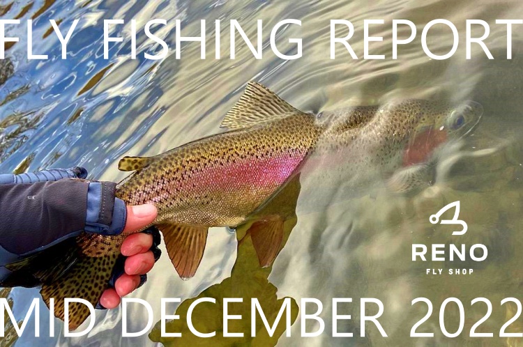 Happy Holidays | Fly Fishing Report | Pyramid Lake | mid December 2022 | Holiday Gift Ideas