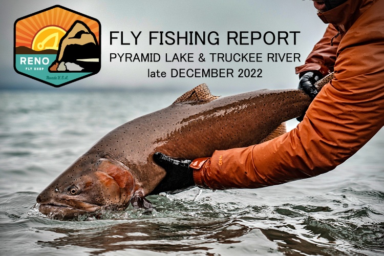 Fly Fishing Report | Pyramid Lake & Truckee River | late December 2022