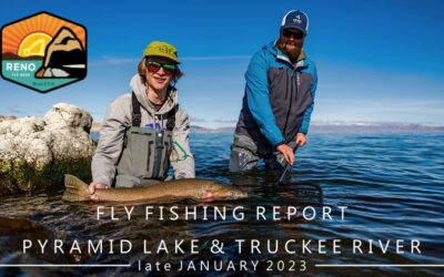 Fly Fishing report | Pyramid  Lake & truckee river | NEW INTEGRATED SWITCH FLY LINE