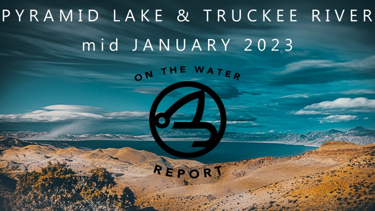 On-the-Water Report | Pyramid Lake and Truckee River | mid January 2023 | Micro Holo Midge In-Stock NOW