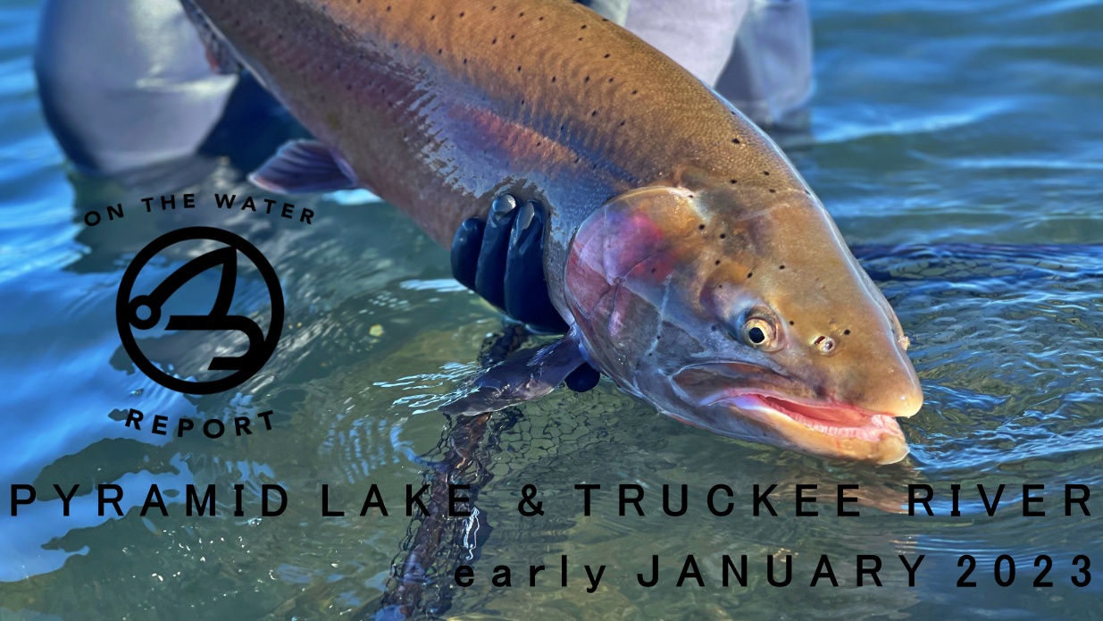 On-the-Water Report | Pyramid Lake and Truckee River | early January 2023