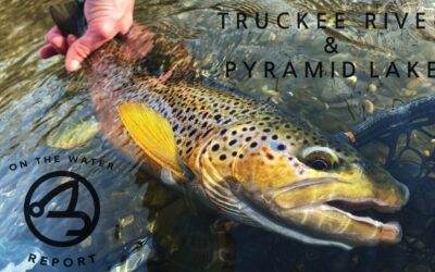 ON-THE-WATER REPORT | TRUCKEE RIVER & PYRAMID LAKE | MID FEBRUARY 2023