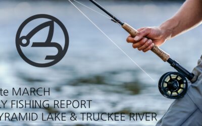 FLY FISHING REPORT | PYRAMID LAKE & TRUCKEE RIVER | late MARCH 2023