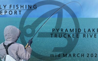 Fly fishing report | Pyramid lake and truckee river | mid march 2023 | SA INTEGRATED SWITCH FLY LINE AVAILABLE NOW