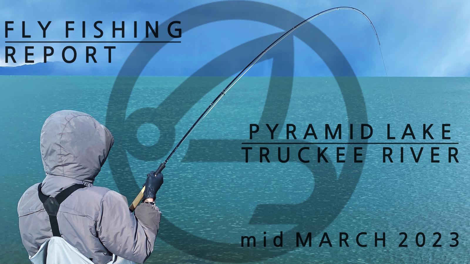 Fly fishing report | Pyramid lake and truckee river | mid march