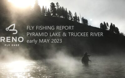 FLY FISHING REPORT | PYRAMID lAKE AND TRUCKEE RIVER | EARLY MAY 2023 | 5 TIPS TO FISH HIGH WATER ON THE TRUCKEE