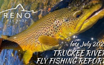 Fly Fishing Report | Truckee River | late July 2023