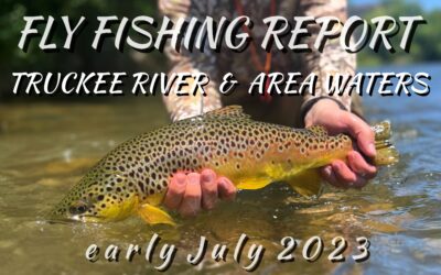 Fly Fishing Report | Summer is here on the Truckee River | Trout and Carp