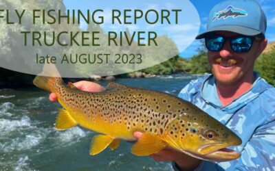Fly Fishing Report | Truckee River | late August