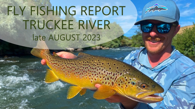 Fly Fishing Report | Truckee River | late August - The Reno Fly Shop