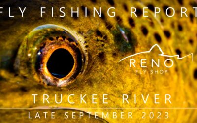 Fly Fishing Report | Truckee River | Shop News/Happenings