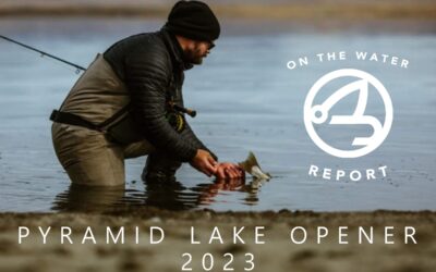 On-the-Water Report | Pyramid Lake 2023 Opener