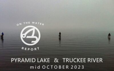 On-the-Water Report | Pyramid Lake and Truckee River | mid October 2023 | Happy Hour 10/19 at 6 – Golden Dorado in Argentina