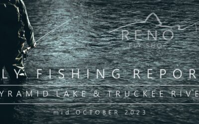 Fly Fishing Report, Pyramid Lake & Truckee River