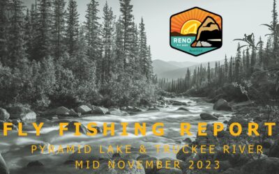 Fly Fishing Report | Pyramid Lake and Truckee River | mid November 2023