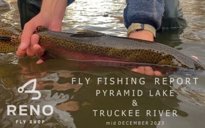 Fly Fishing Report | Pyramid Lake & Truckee River | mid December 2023 | Garmin Striker Cast ON SALE