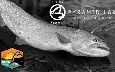 On-the-Water Report with Mike Anderson | Pyramid Lake | late December 2023