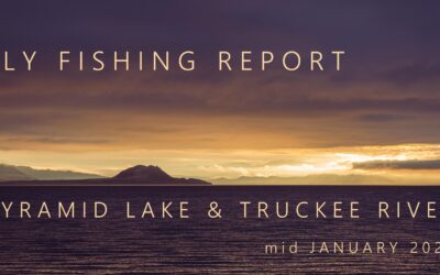 Fly Fishing Report | Pyramid Lake & Truckee River | mid January 2024