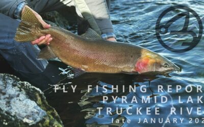 Fly Fishing Report | Pyramid Lake and Truckee River | late January 2024 | SIMMS Freestone Bootfoot