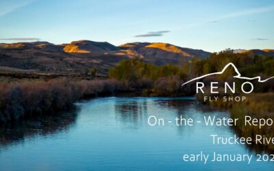 On-the-Water Report | Truckee River | early January 2024 | RFS Custom Jaydacator Leader