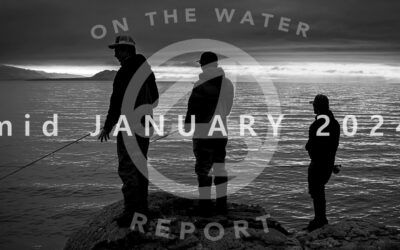 On-the-Water Report | Pyramid Lake | mid January 2024