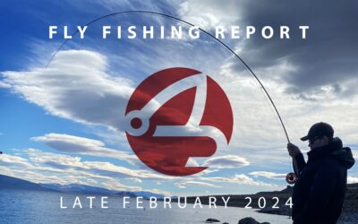 FLY FISHING REPORT | PYRAMID LAKE & TRUCKEE RIVER | LATE FEBRUARY