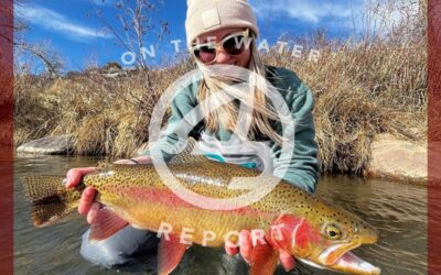 On-the-Water Report w Aden Breckner | Truckee River | late February 2024