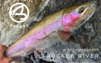 On-the-Water Report w/ Aden Breckner | Truckee River | late March 2024