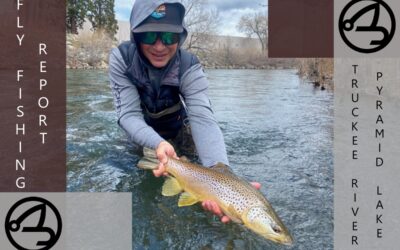 FLY FISHING REPORT | PYRAMID LAKE & TRUCKEE RIVER | MID APRIL 2024