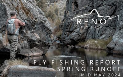 FLY FISHING REPORT | TRUCKEE RIVER | MID MAY 2024 | ANNOUNCING SUMMER CLASS SCHEDULE