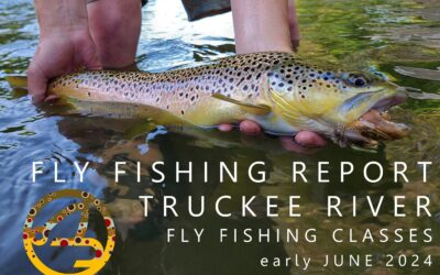 FLY FISHING REPORT | TRUCKEE RIVER | Early June 2024 | FF101 and FF102 Classes Added to Schedule