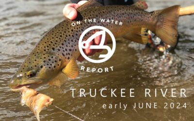 On-the-Water Report | Truckee River | early June 2024