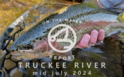 On-the-Water Report | Truckee River | mid July 2024