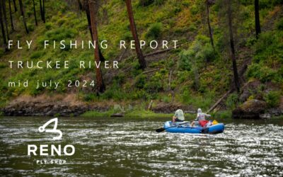 Fly Fishing Report | Truckee River | mid July 2024