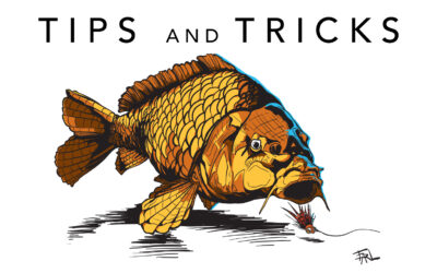 Tips and Tricks for Carp on the Fly