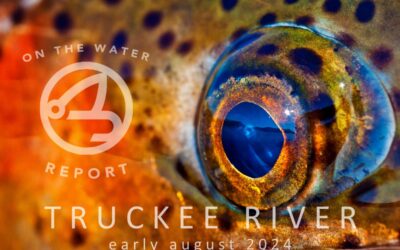 On-the-Water Report – Truckee River – early August 2024