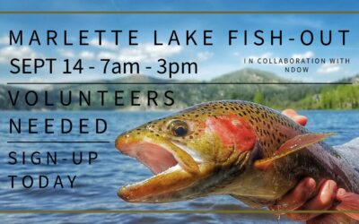 Marlette Lake Fish Out with NDOW | Sept 14, 2024 | Volunteers needed with a few spots still available