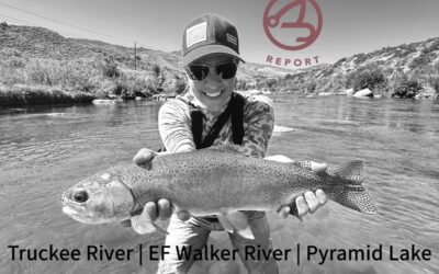 On-the-Water Report | Truckee R – EF Walker R – Pyramid Lake | mid October 2024