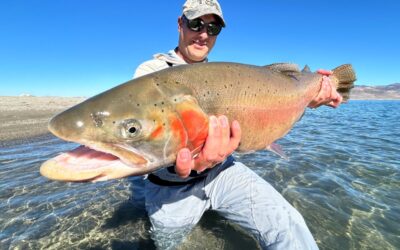 Fly Fishing Report | Truckee River and Pyramid Lake | mid November 2024 | new RFS hats have arrived.