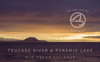 On-the-Water Report | Truckee River & Pyramid Lake | mid November 2024