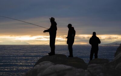 Fly Fishing Report | Truckee River and Pyramid Lake | early November 2024