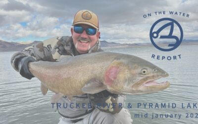 On-the-Water Report | Pyramid Lake and Truckee River | mid January 2025 | new Tungsten Balanced Leech