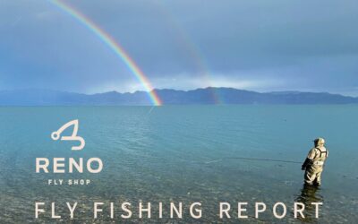 Fly Fishing Report | Truckee River and Pyramid Lake | mid January 2024 | NEW Mopcorn Fly and Switch Rods